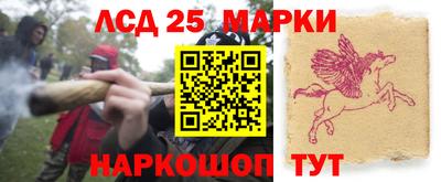 ПСИЛОЦИБИНОВЫЕ ГРИБЫ Бийск
