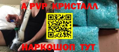 шишки Гай
