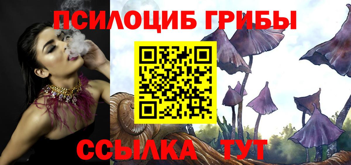 Зеленогорск  Галлюциногенные грибы Psilocybine cubensis  Вход с VPN  купить  сайты  Галлюциногенные грибы прущие грибы 